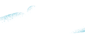 PIPI